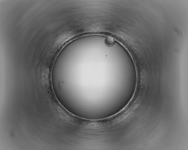X0000112061265200908111404
