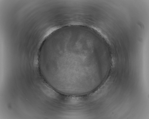 X0000112061266200908111404