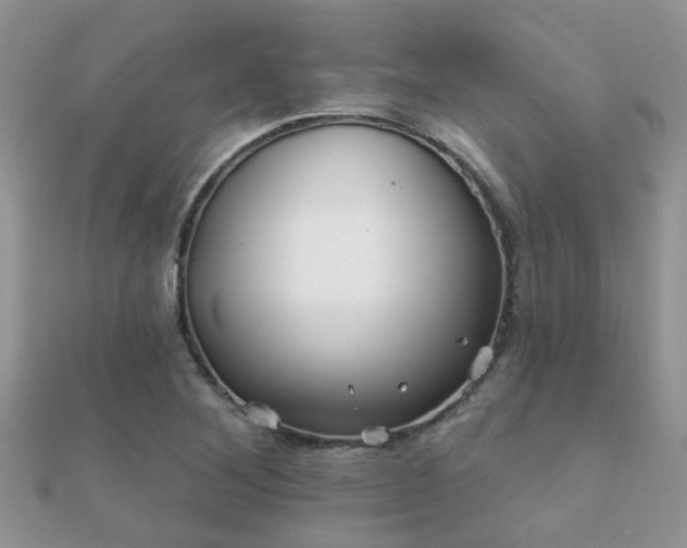 X0000112061268200908111404