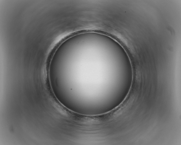 X0000112061270200908111404