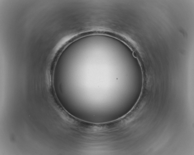 X0000112061271200908111404