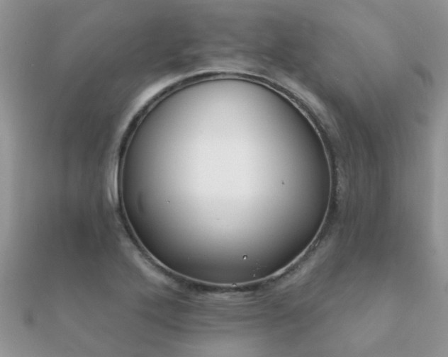 X0000112061272200908111404