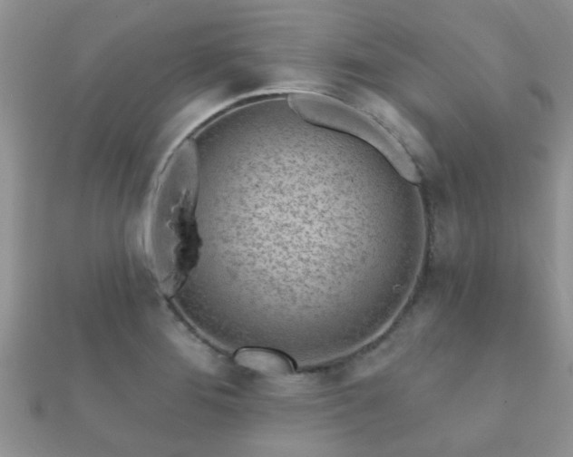 X0000112061276200908111404