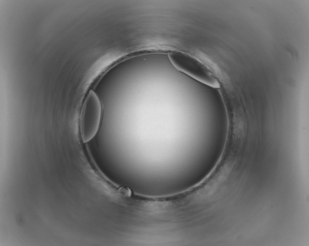 X0000112061277200908111404