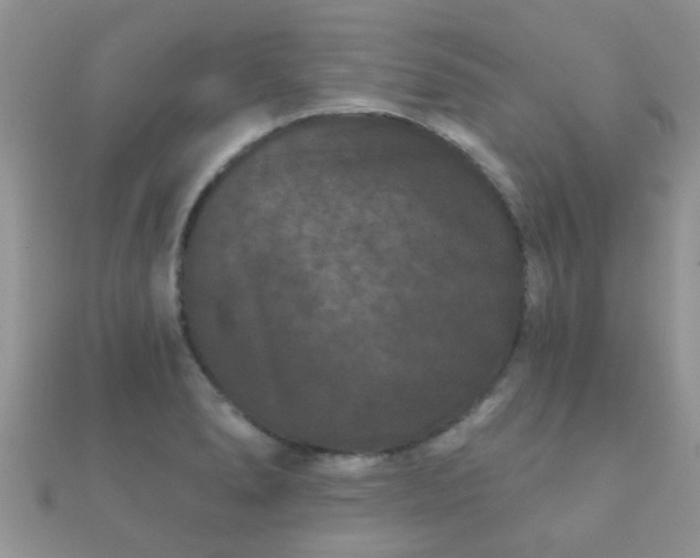 X0000112061278200908111404