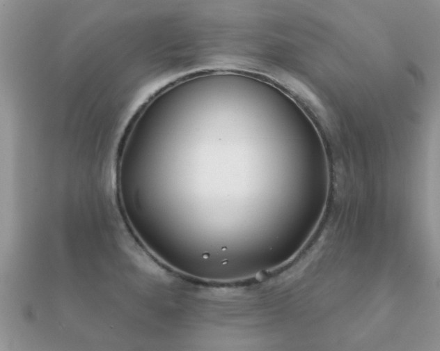 X0000112061280200908111404