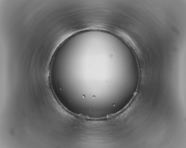 X0000112061284200908111404