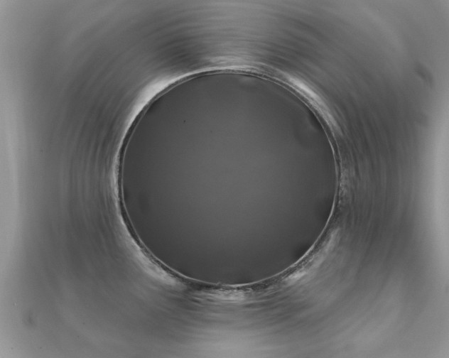 X0000112061291200908111404