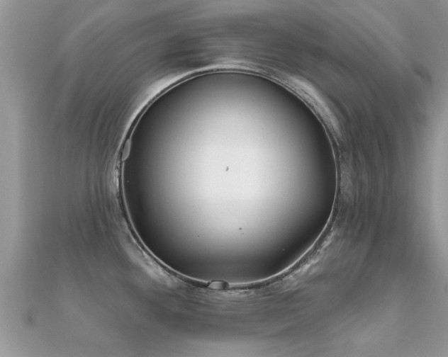 X0000112061292200908111404