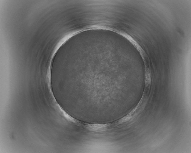 X0000112061294200908111404