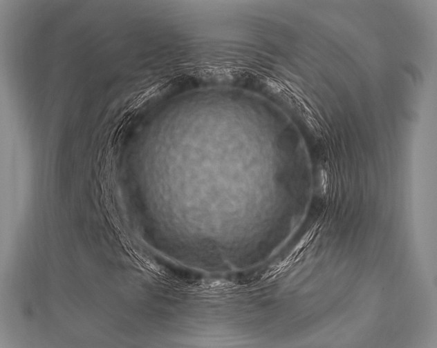 X0000112061297200908111403