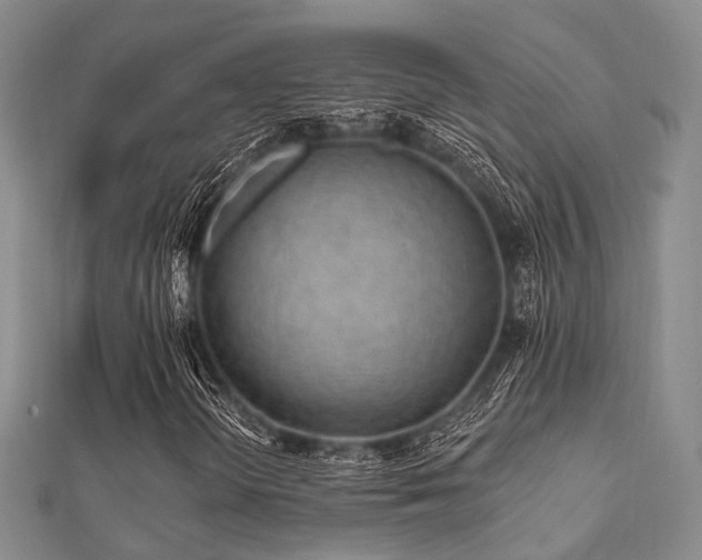 X0000112061298200908111403