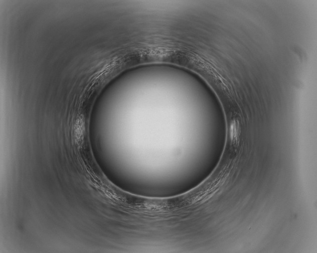 X0000112061299200908111403