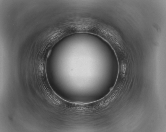 X0000112061300200908111403