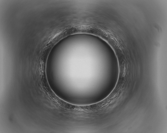 X0000112061301200908111403