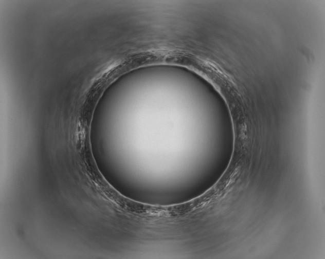 X0000112061302200908111403