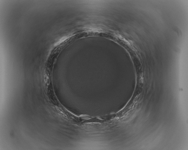 X0000112061303200908111403