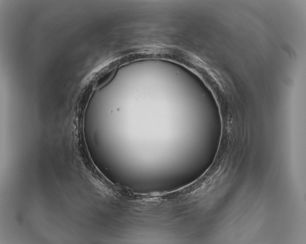 X0000112061304200908111403