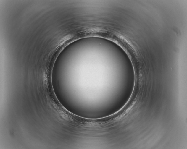 X0000112061305200908111403