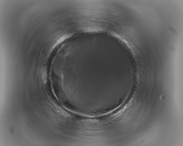 X0000112061306200908111403
