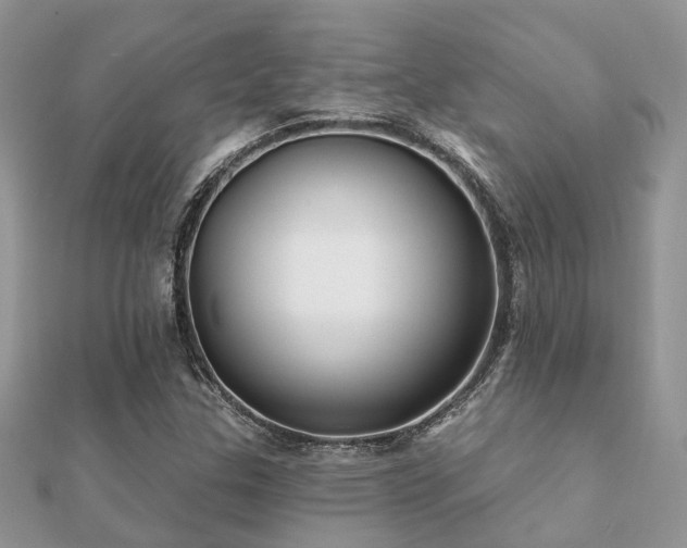 X0000112061307200908111403