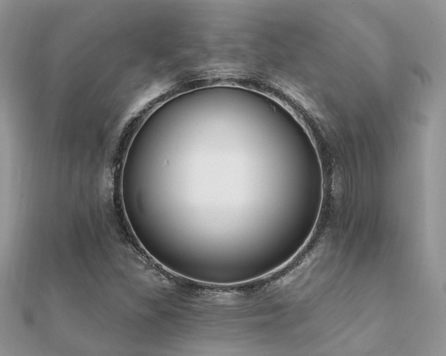 X0000112061309200908111403