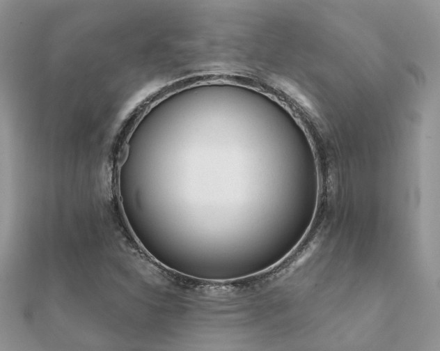 X0000112061310200908111403