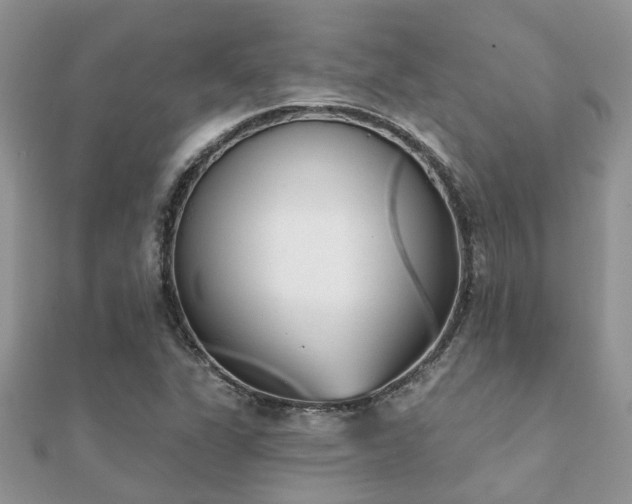 X0000112061311200908111403
