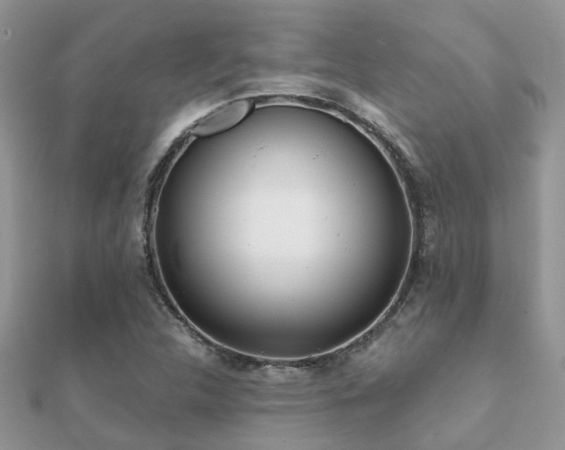 X0000112061312200908111403