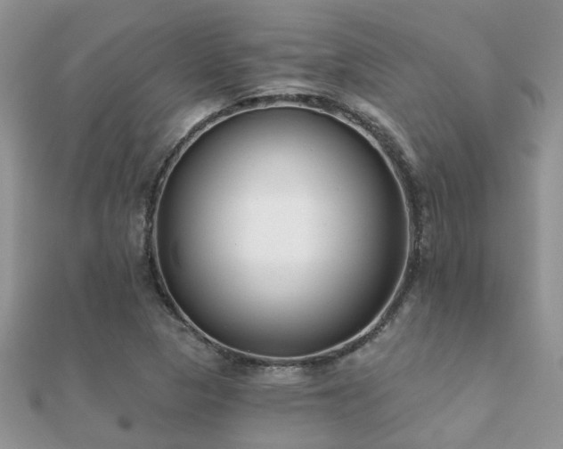 X0000112061313200908111403