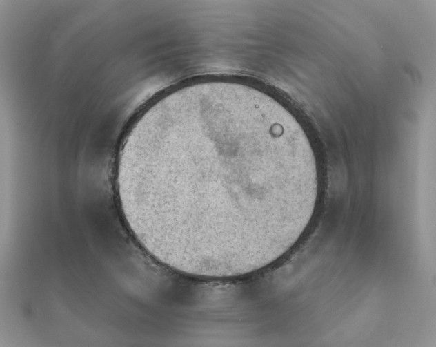 X0000112061314200908111403
