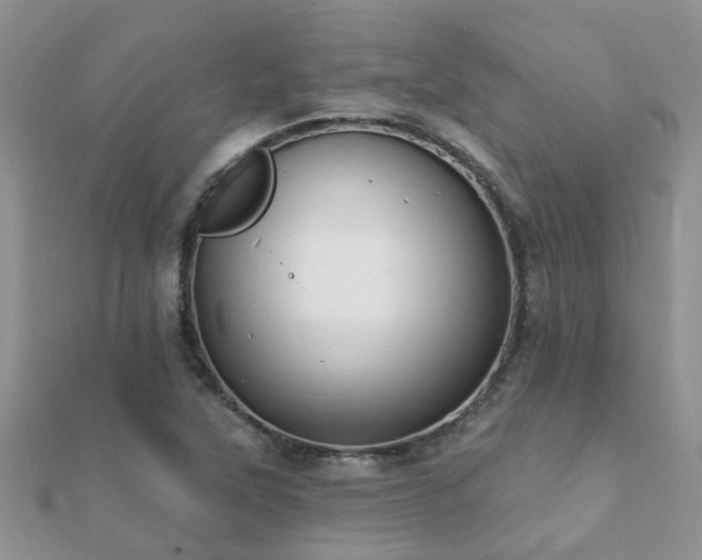X0000112061315200908111403