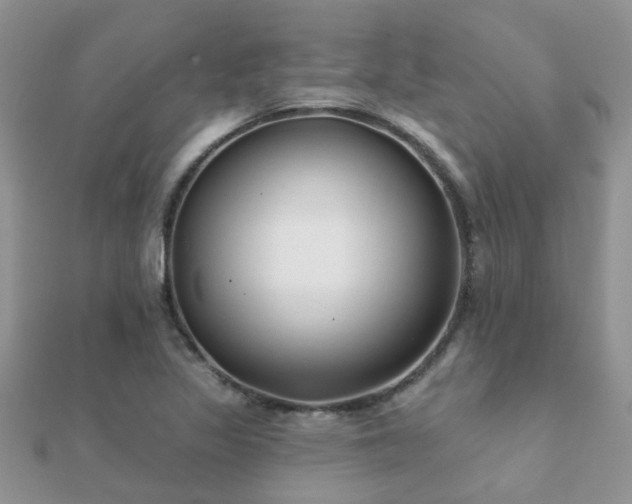 X0000112061317200908111403