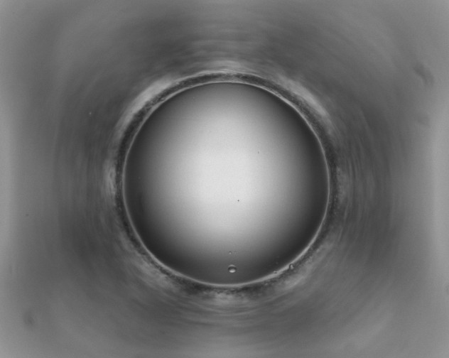 X0000112061318200908111403