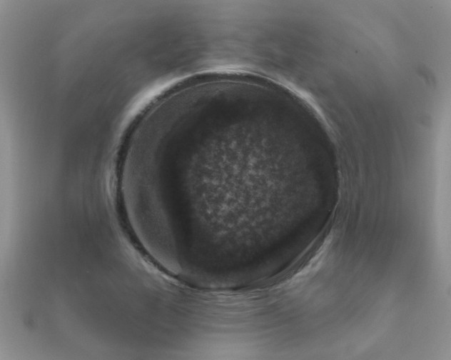 X0000112061319200908111403