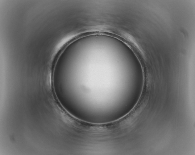 X0000112061320200908111403