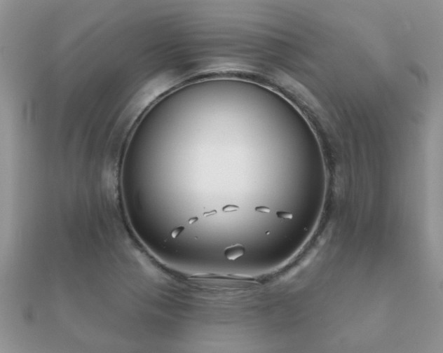 X0000112061321200908111403
