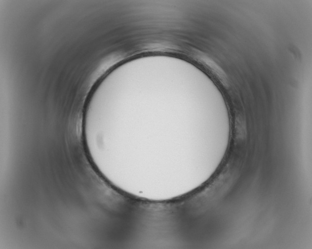 X0000112061322200908111403