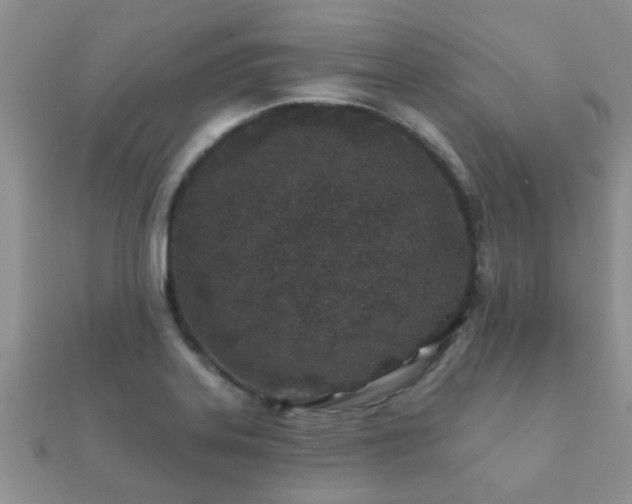 X0000112061323200908111403