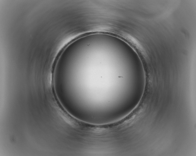 X0000112061324200908111403