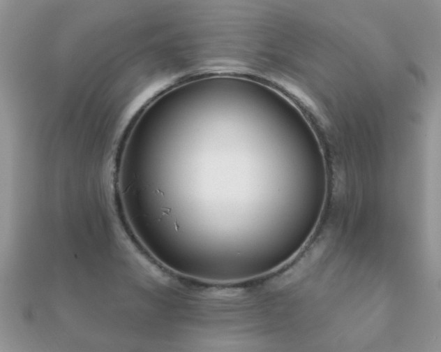 X0000112061325200908111403