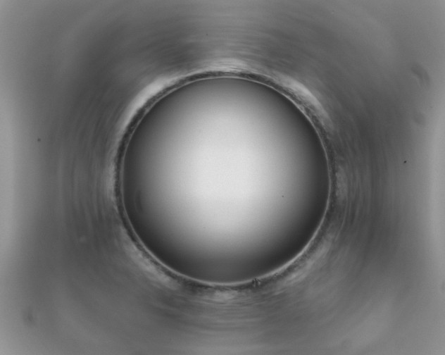X0000112061326200908111403