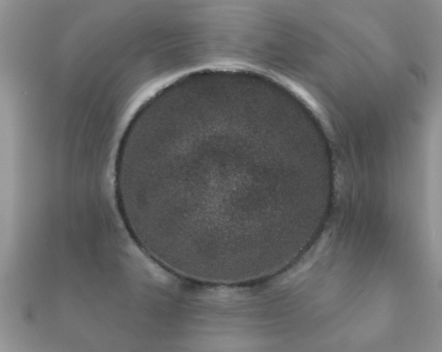 X0000112061327200908111403