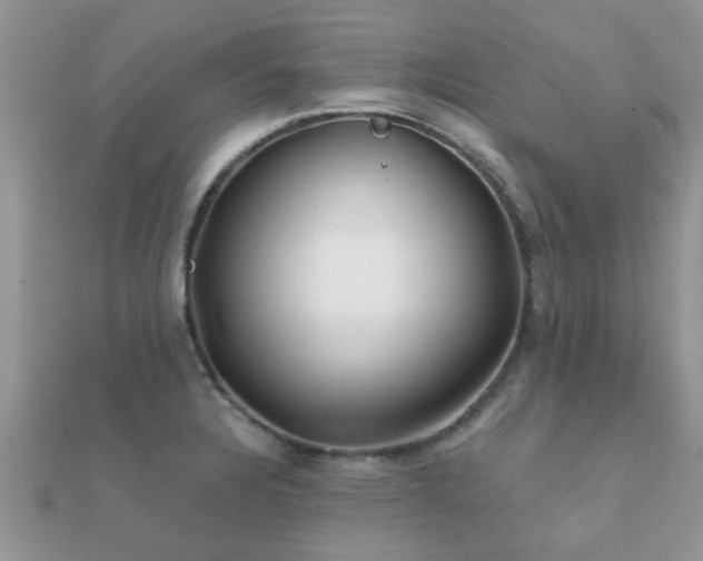 X0000112061328200908111403