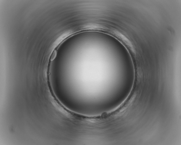 X0000112061330200908111403