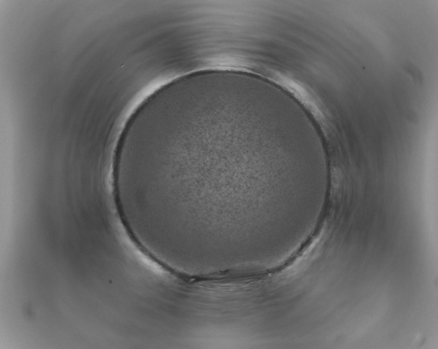X0000112061331200908111403