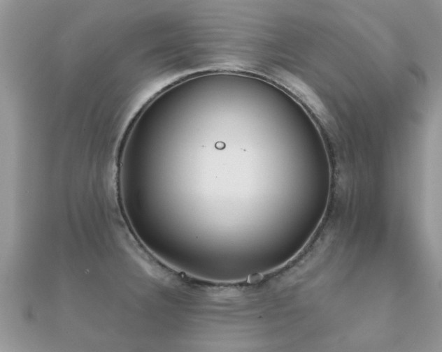 X0000112061332200908111403