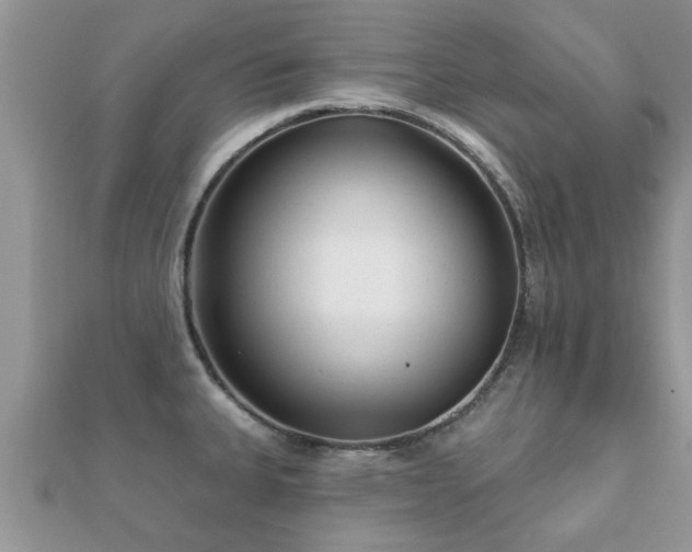 X0000112061335200908111404