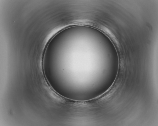 X0000112061336200908111404