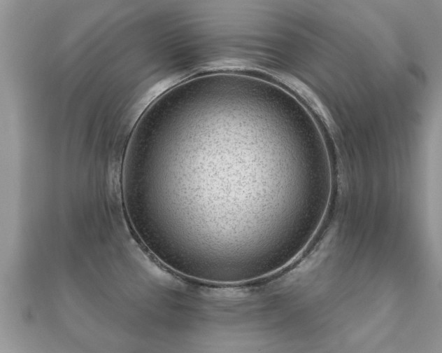 X0000112061337200908111404